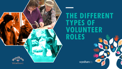 The Different Types of Volunteer Roles