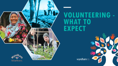 Volunteering – What to expect