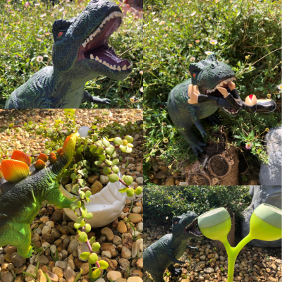 a collage of images of a plastic dinosaur in a garden