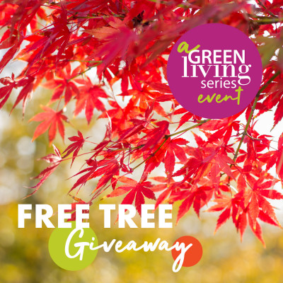 Free Tree Giveaway