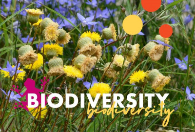 BIO