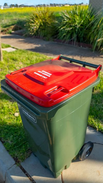 Red Bin