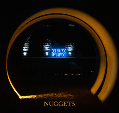 TREATMENT: NUGGETS 