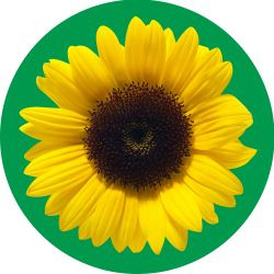 Marketing - Social Story - Sunflower Logo - LIT - 2026 V2.png