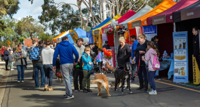 Pet & Animal Expo