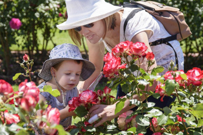 State Rose & Garden Show