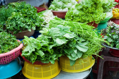 My Smart Garden – Asian Greens
