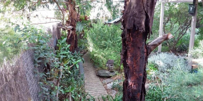 My Smart Garden - Create a Habitat Garden