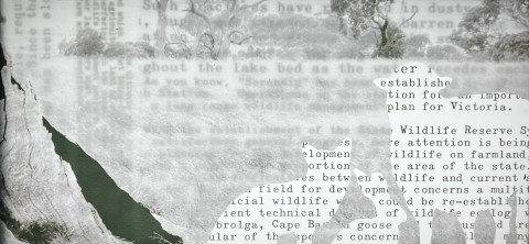 Sanctuary by Fatima Measham