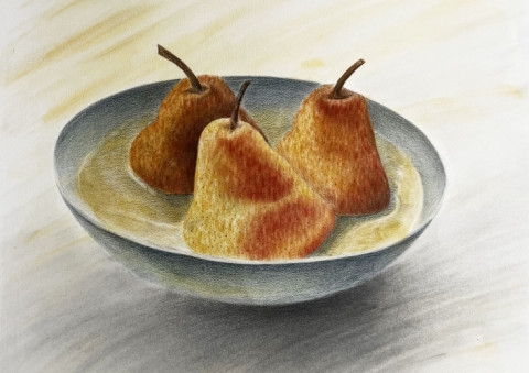 Self Xpress CIV by Oxygen College