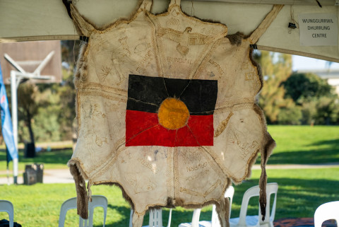 30750_Kangaroo Skin