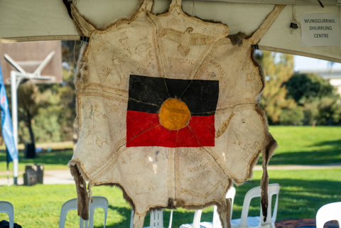 Kangaroo Skin