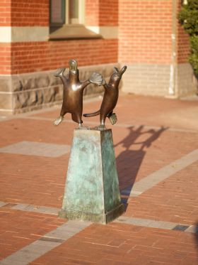 Dance of the Platypus (2001) - Anne Ross