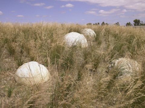 Boulders Float After Years of Erosion (2002) - Rodney Payne