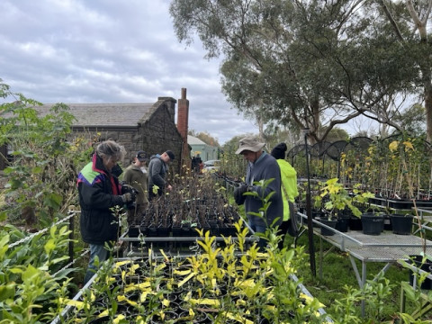 Werribee Park Heritage Orchard - Friday Volunteer Sessions