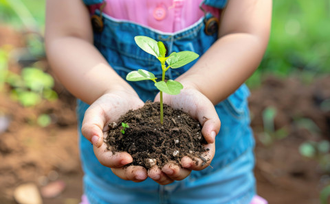Family Fun Club with Little Sprouts - Werribee Library