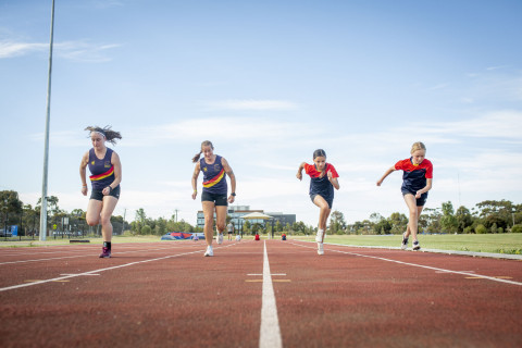 Fortitude Drive Reserve Opening