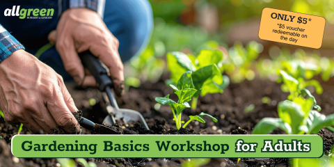 Gardening Basics Workshop for Adults