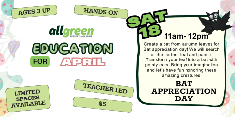 Bat Appreciation Day