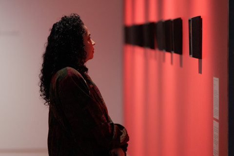 Hindi-Language Exhibition Tour: Hayley Millar Baker, Selected Works 