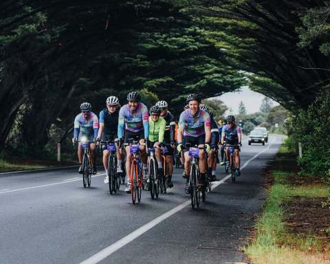 United Energy Around The Bay 2026