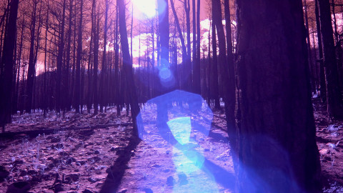 LANDSCAPES : TECHNOLOGIES : BODIES 