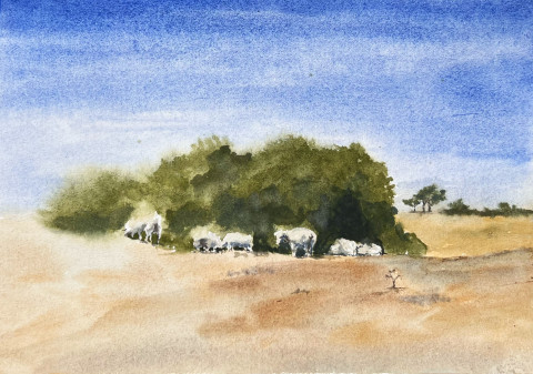 Tapestry of Culture – Mindfulness Watercolour Workshop