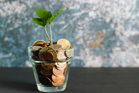 Free Business Training - Funding Pathways