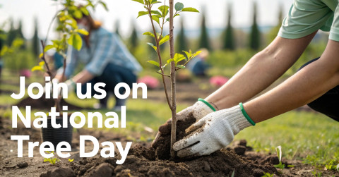 National Tree Day