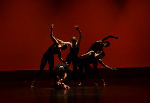 Come and Try Preschool Dance or Acrobatics and Hip Hop