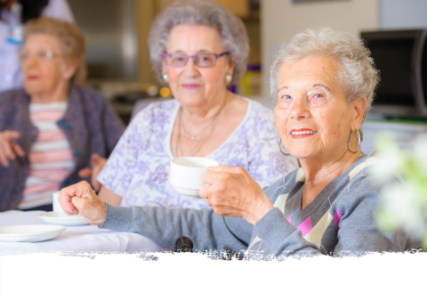 Seniors Festival - Steps to Accessing Aged Care