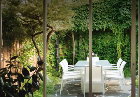 My Smart Garden - Small Trees for Small Spaces