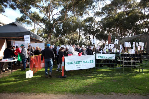 Werribee Park Heritage Orchard - Summer Heritage Fruit Tree Festival