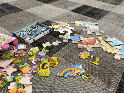 A range of jigsaw puzzles on the floor