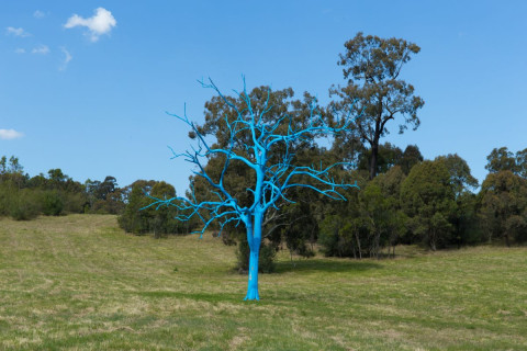 World Mental Health Day Blue Tree Project Event