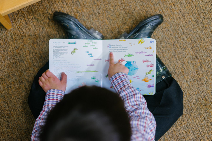 Toddler reading a book pointing at text