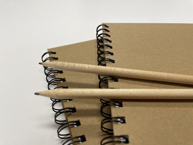 Two pencils on two journals