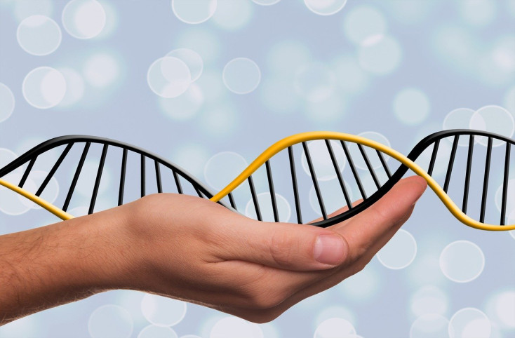 DNA and Family History for Beginners