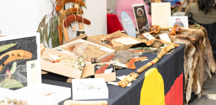 First Nations display