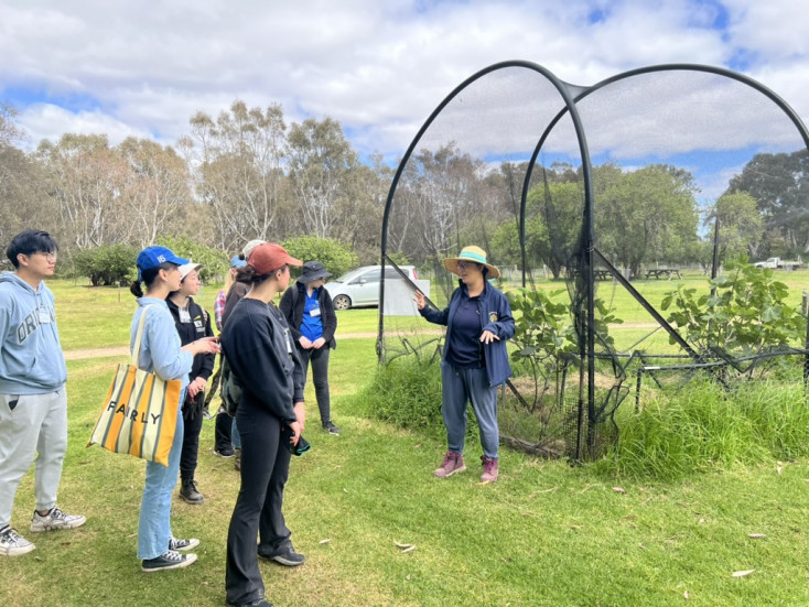 Werribee Park Heritage Orchard - Summer Heritage Fruit Tree Festival