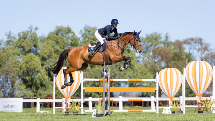 Dressage and Jumping with the Stars