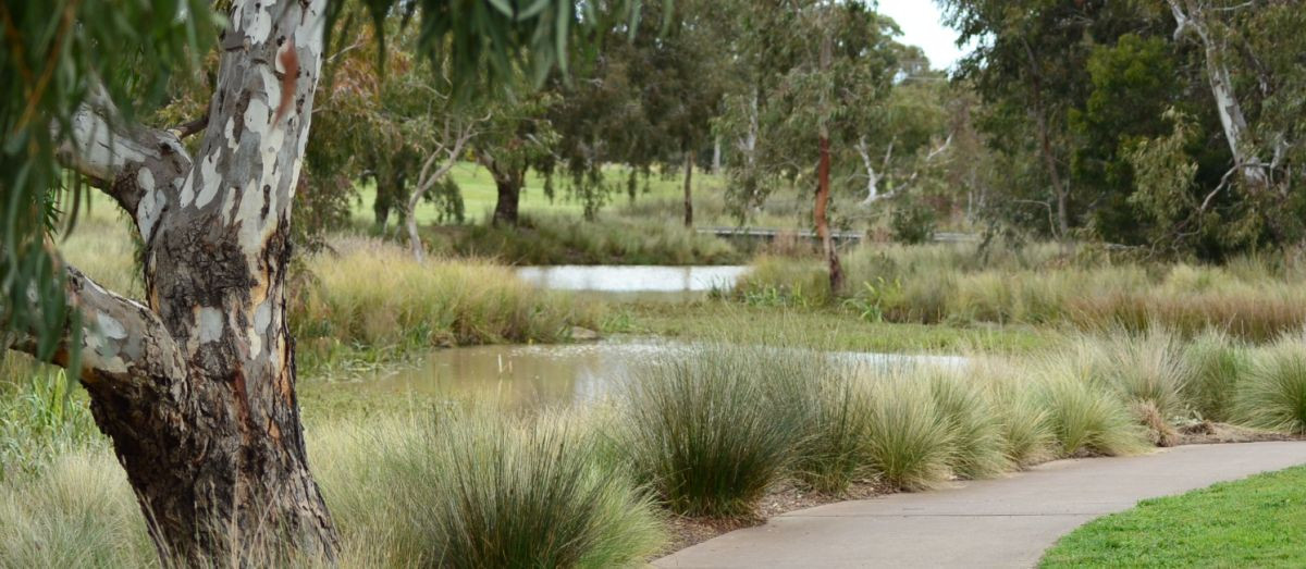 Conservation in Wyndham