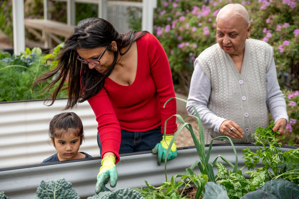 Gardening 