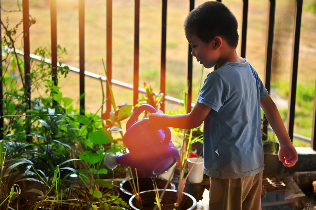 A child waters some plants
