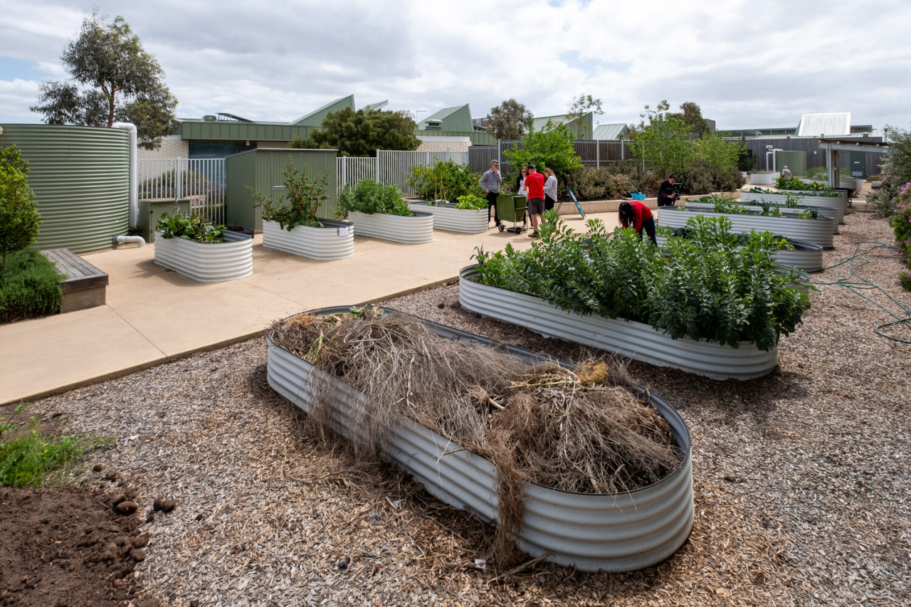 Community Gardening in Wyndham