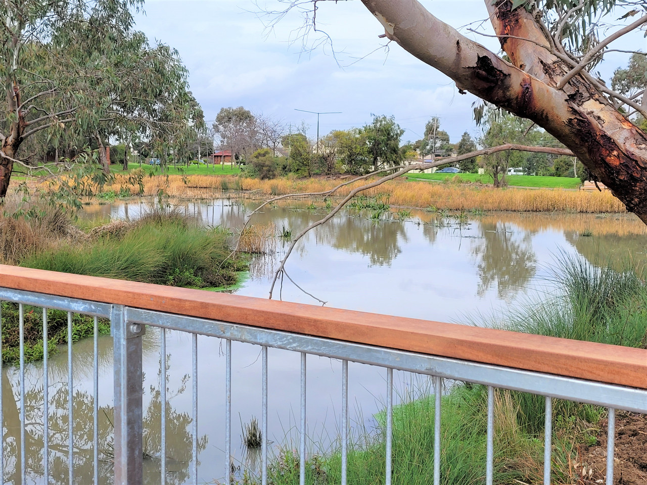 Healthier Waterways Wetland Program 