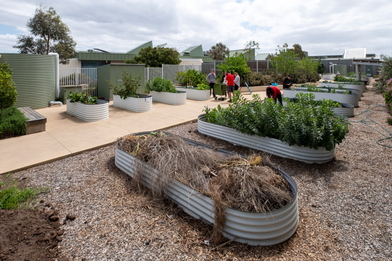 Community Gardening