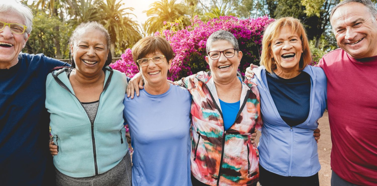  Seniors Festival