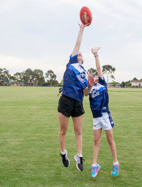 Goddard St Reserve, Tarneit