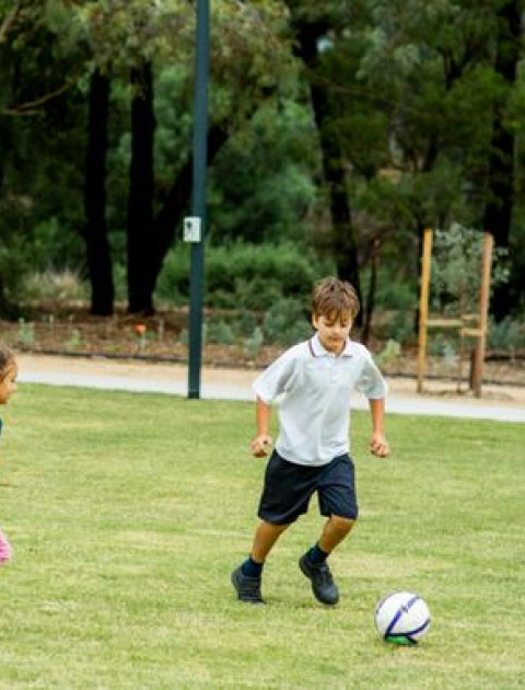 Fortitude Drive Reserve Master Plan